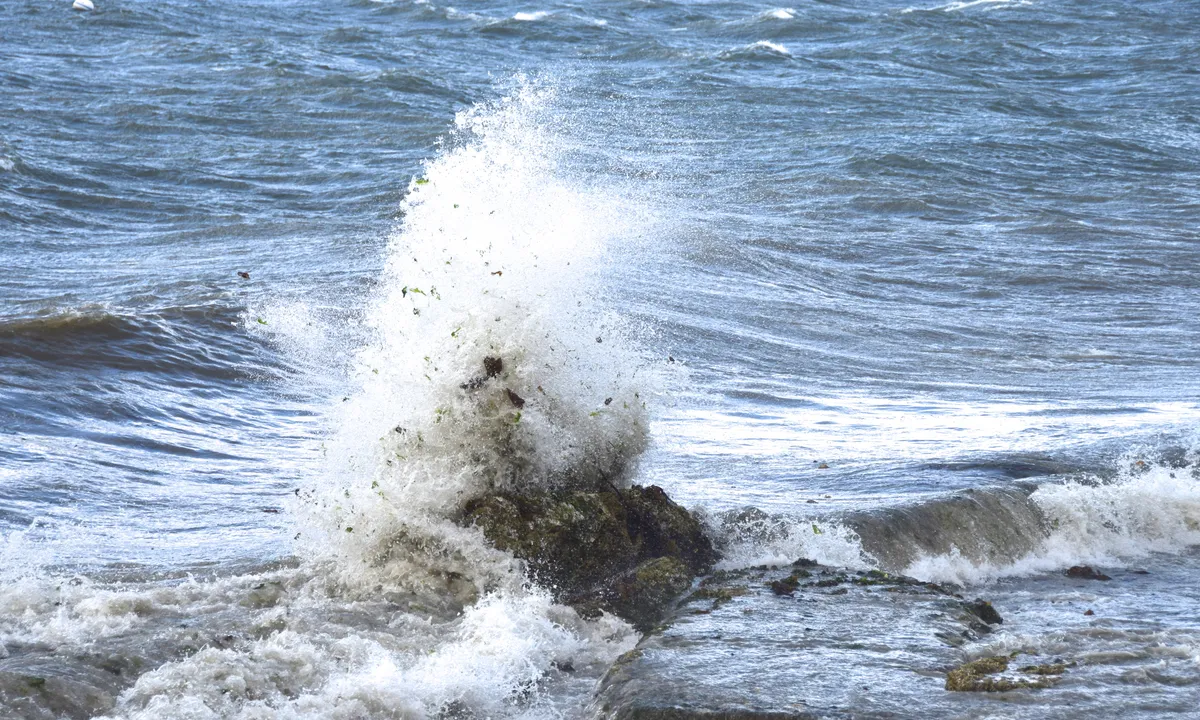 Waves at Madrona Beach